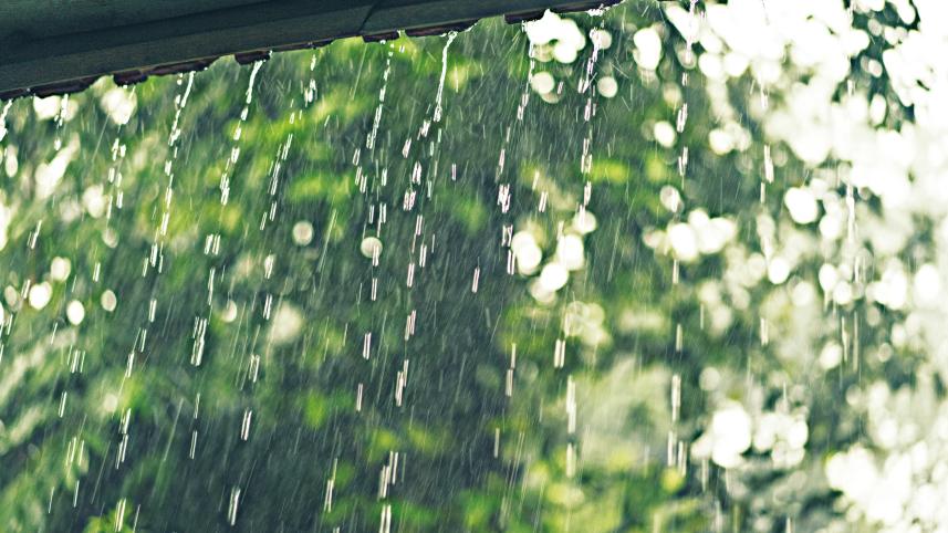 rainwater.jpg