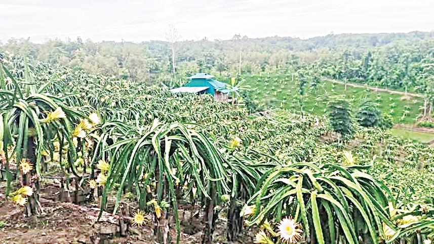 farmland.jpg