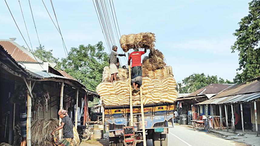 jute.jpg