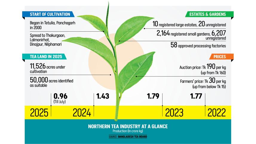 rising-tea-prices-2.jpg