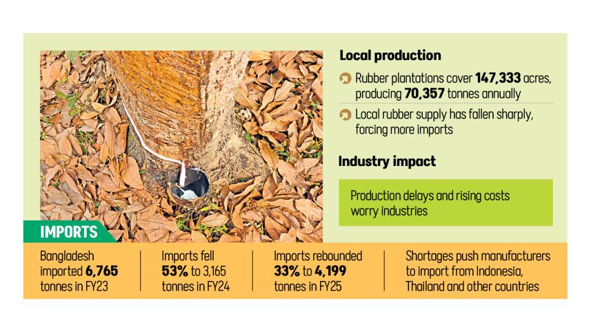 Bangladesh rubber imports rise 33 percent FY25