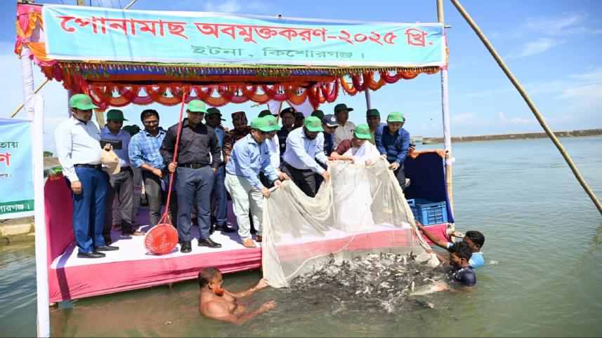 Fisheries Adviser