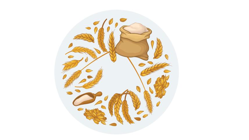 wheat-i.jpg