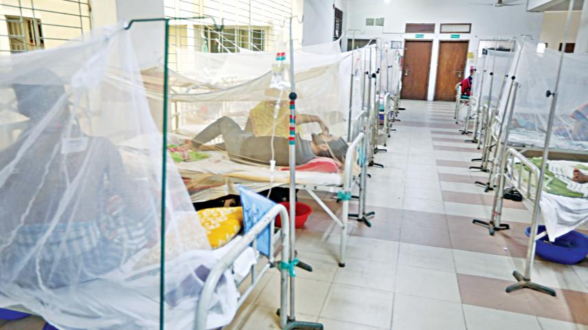dengue.jpg