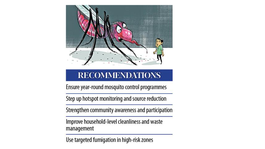 dengue.jpg