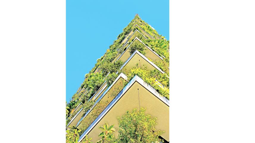 carbon.jpg