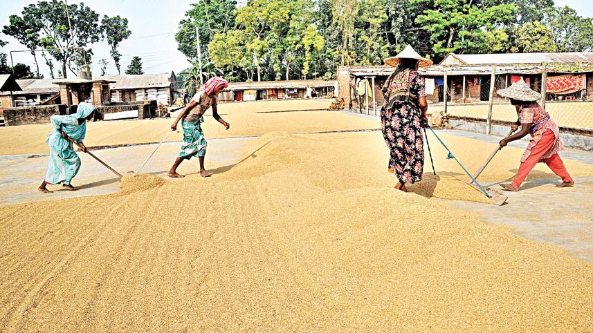 automatic-rice-mills-1.jpg