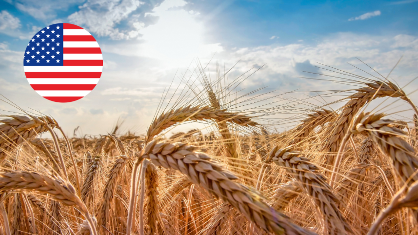 us_wheat.png