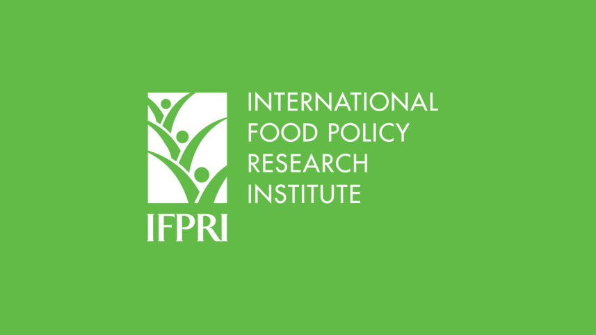 ifpri_logo_ds.png