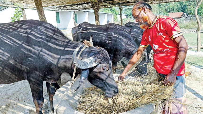 kurigram-char-economy-02-1.jpg