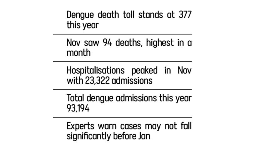 dengue-text.jpg