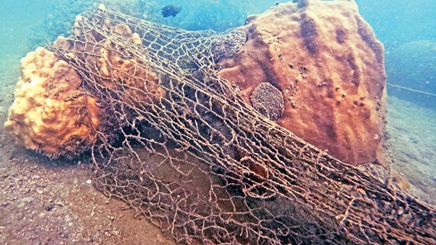 our-reef-at-risk.jpg