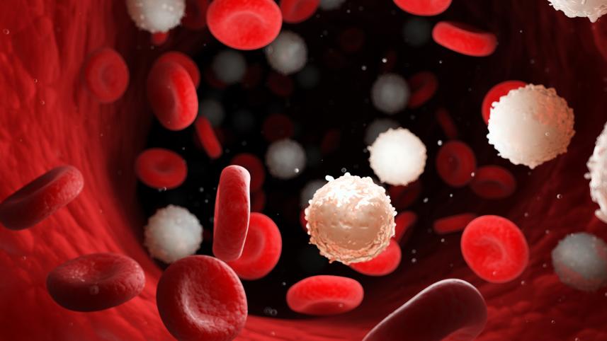 bloodstream.jpg