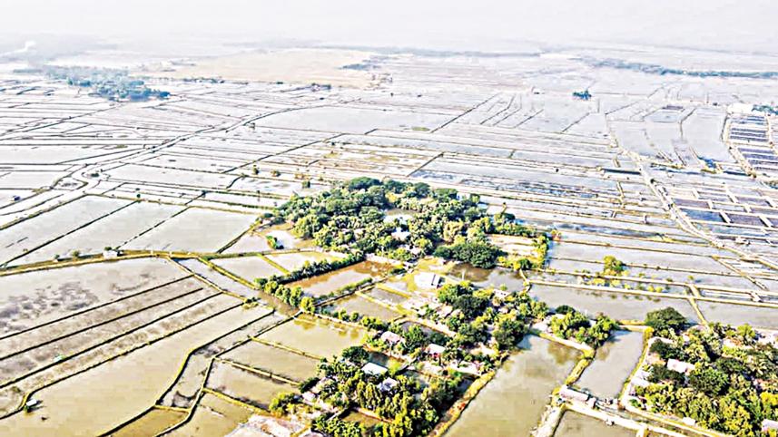 satkhira-farmers.jpg