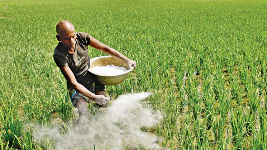 fertiliser import in bangladesh