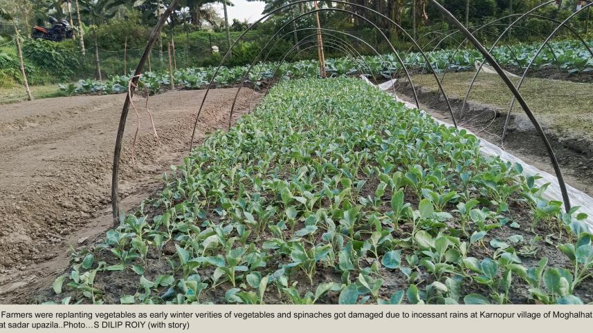 Rain damages to vegetables prices increased in market_267b.jpg