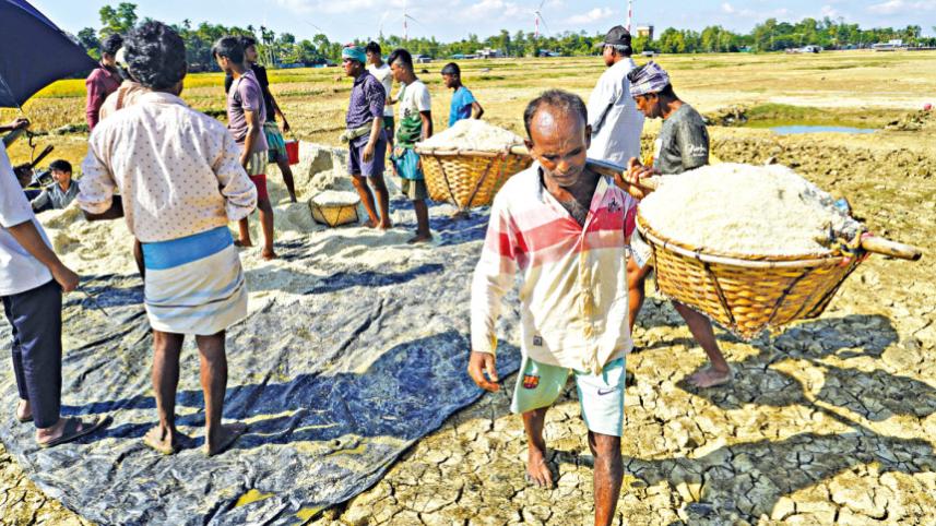 OP 2 - Salt sector challenges for the next policy to address.jpg