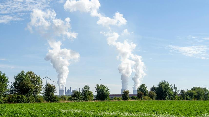 carbon neutral.jpg