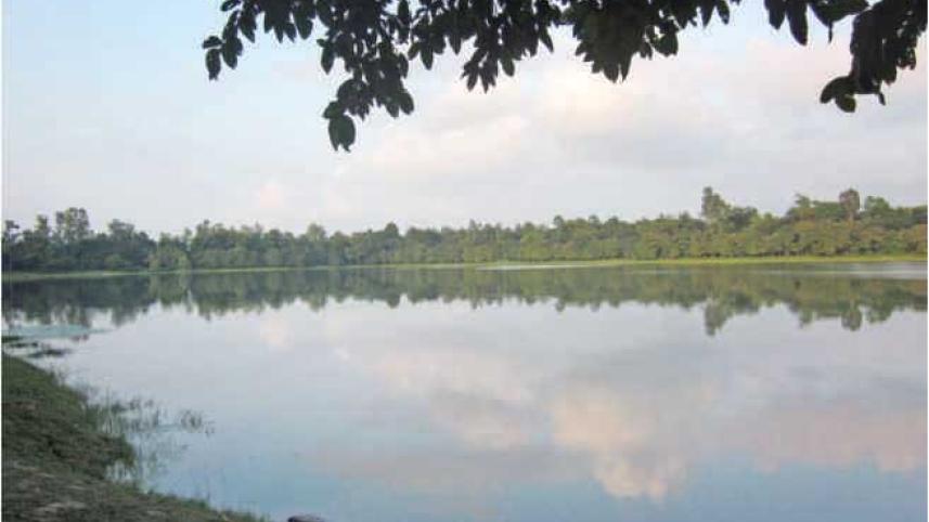 nature_6.jpg