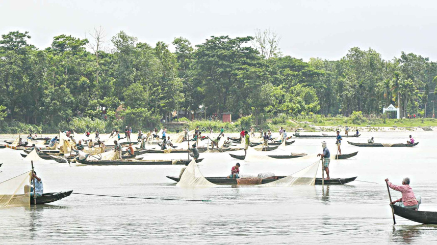 halda-2.jpg