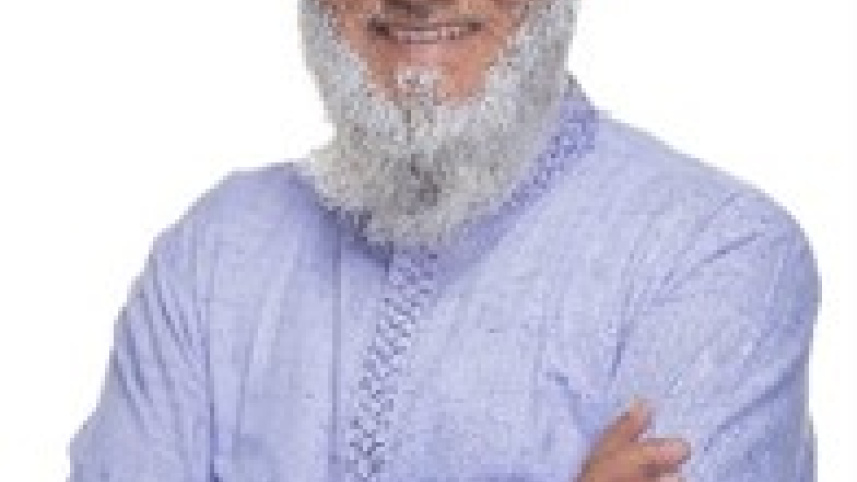 sajeda_5.jpg