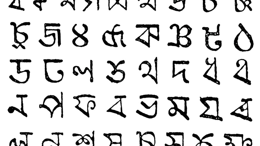 language5.jpg
