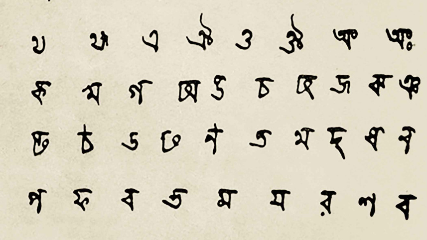 language6.jpg