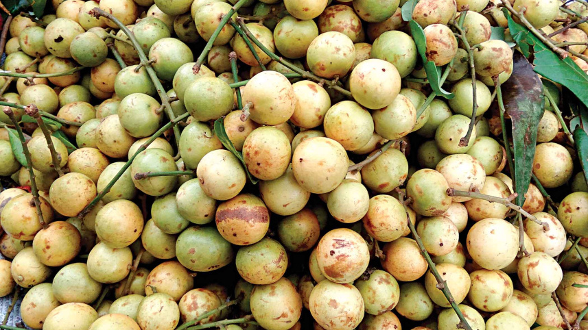 summer-fruits1.jpg