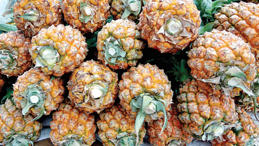 summer-fruits4.jpg