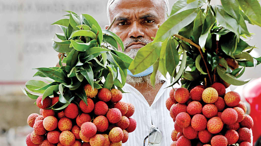summer-fruits5.jpg