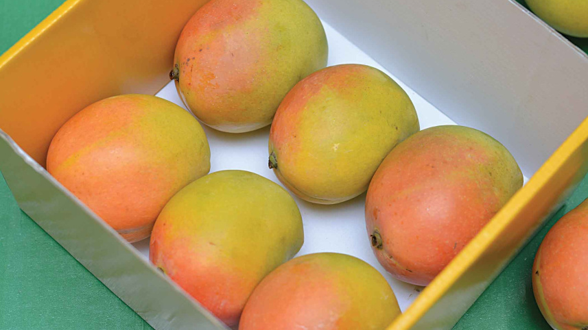 exotic-fruit.jpg