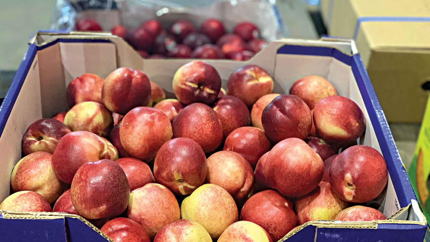 exotic-fruit1.jpg