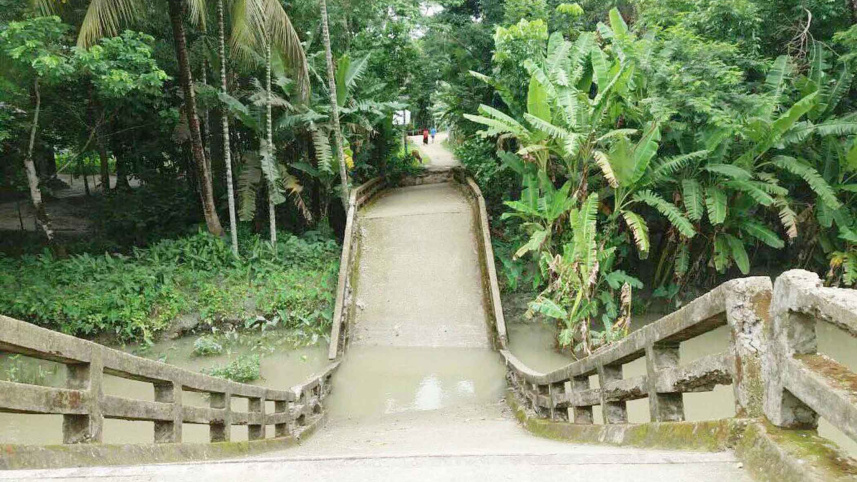 bridge2.jpg