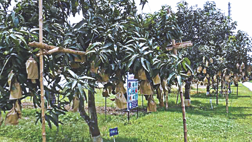 agriculture2.jpg