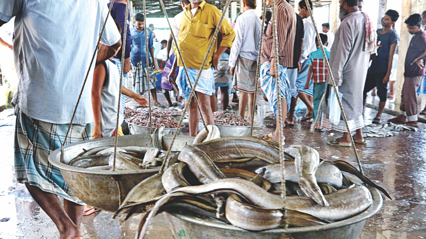 anglers_10.jpg