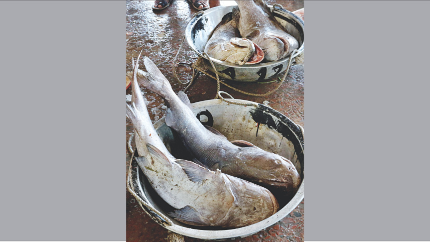 anglers_13.jpg