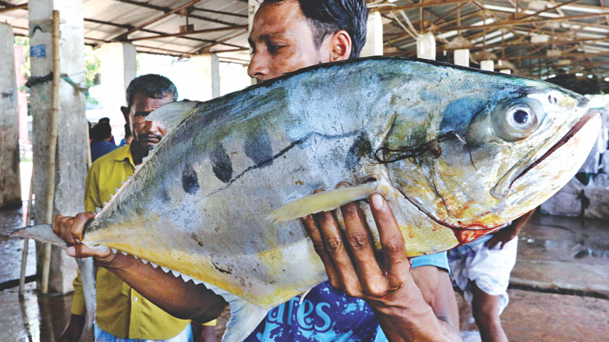 anglers_2.jpg