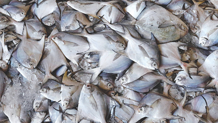 anglers_4.jpg