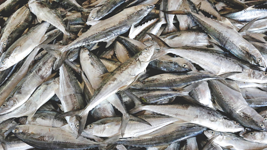 anglers_5.jpg