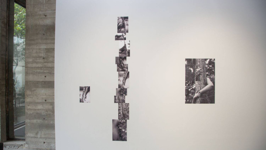art_5_0.jpg