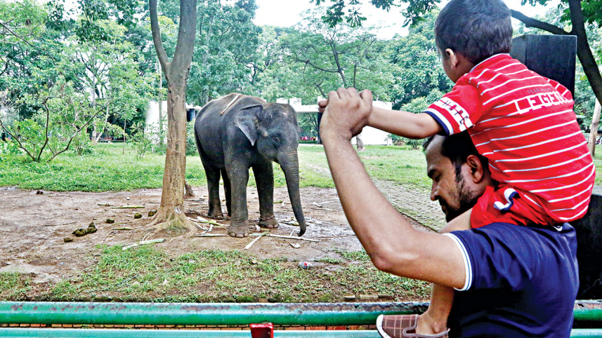 bangladesh_national_zoo_1.jpg