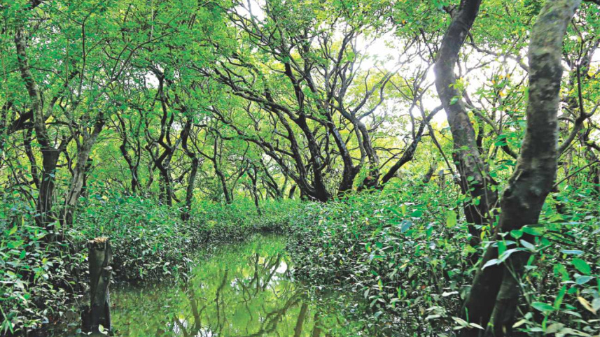 beautiful_bangladesh_3.jpg