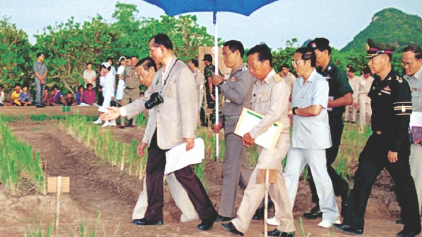 bhumibol 3.jpg