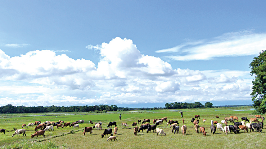 bichanakandi_2.jpg