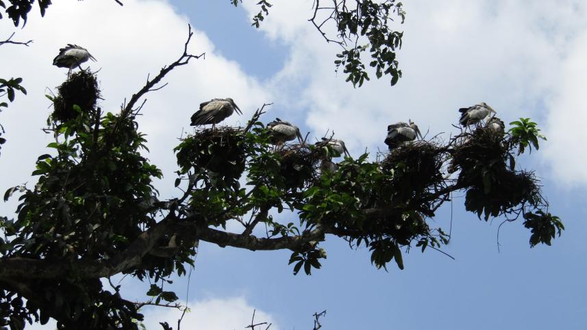 biodiversity4.jpg