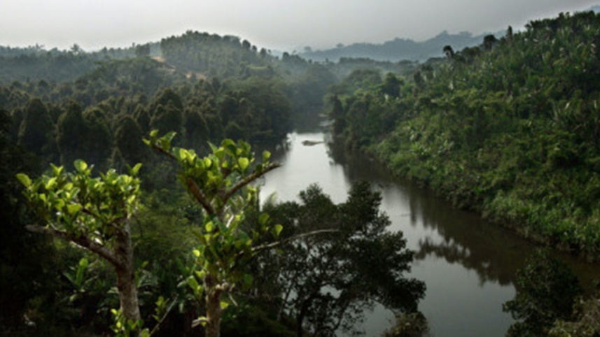 biodiversity_2.jpg