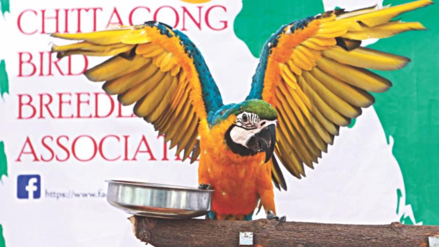 birds 2.jpg