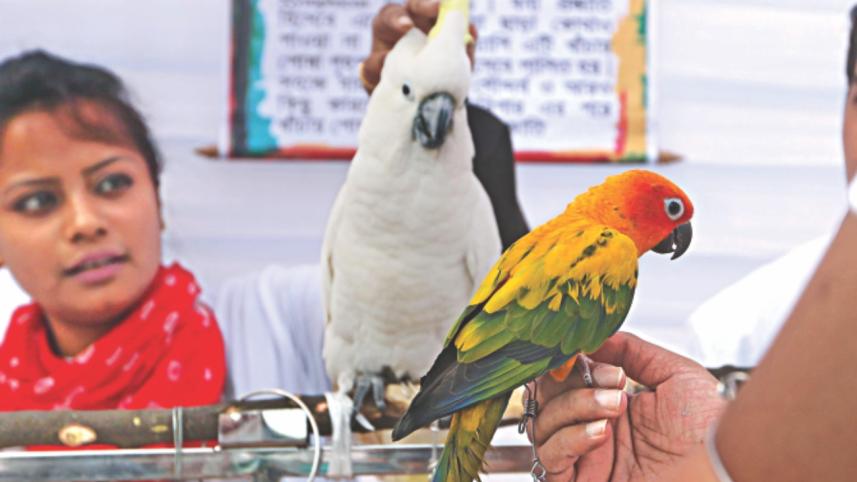 birds 3.jpg