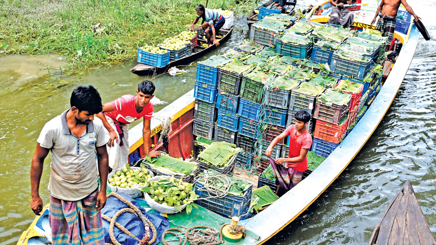 bounty-of-guava3.jpg
