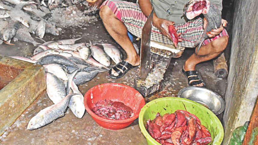 brood-hilsas_flood_barishal_2.jpg